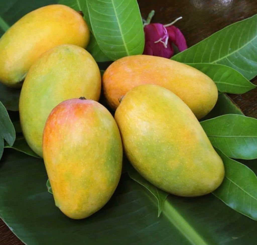 “Mango benefits for hair”