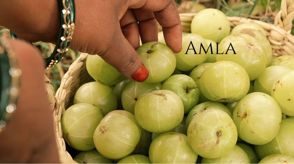 Amla- Our Hero Ingredient
